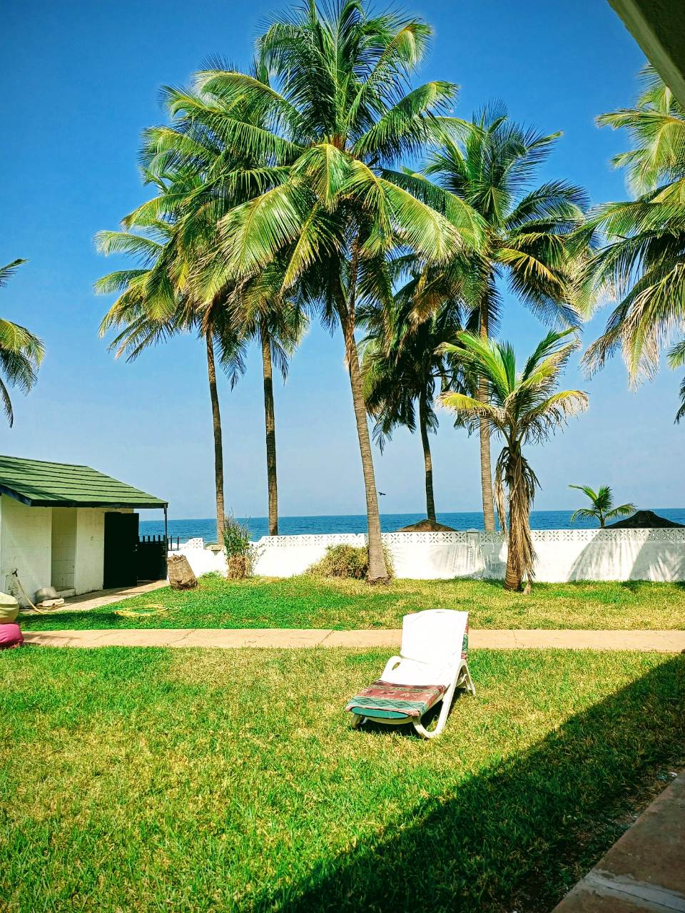 Tropical scene with lounge chair
