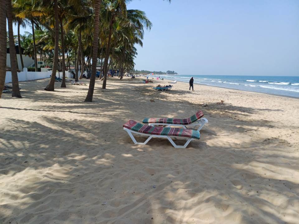 Beach with palm trees