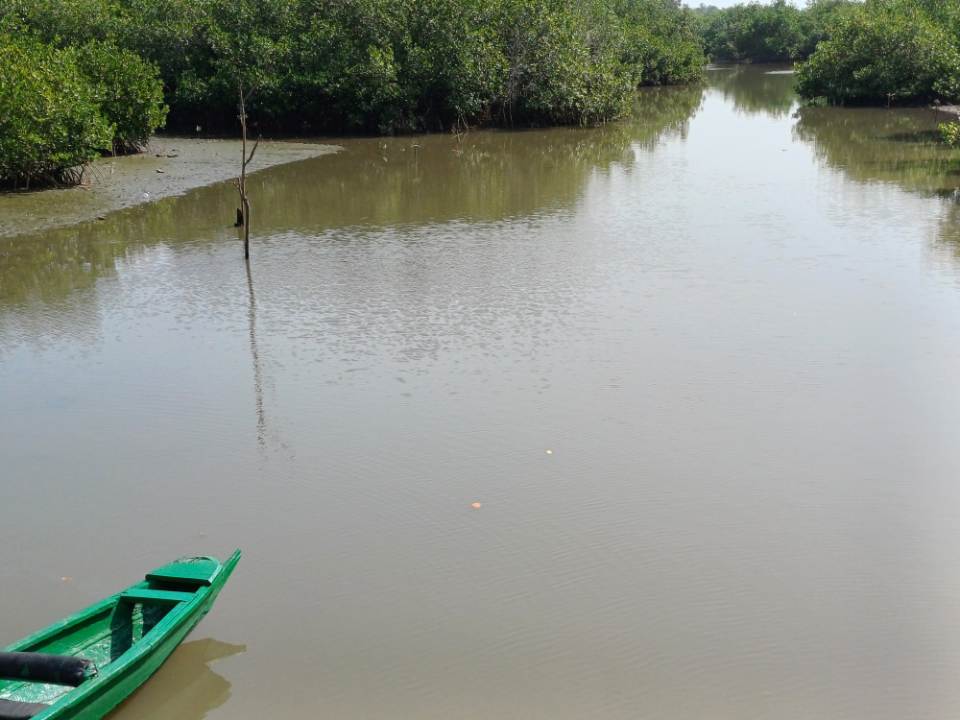Mangrove river with small boat