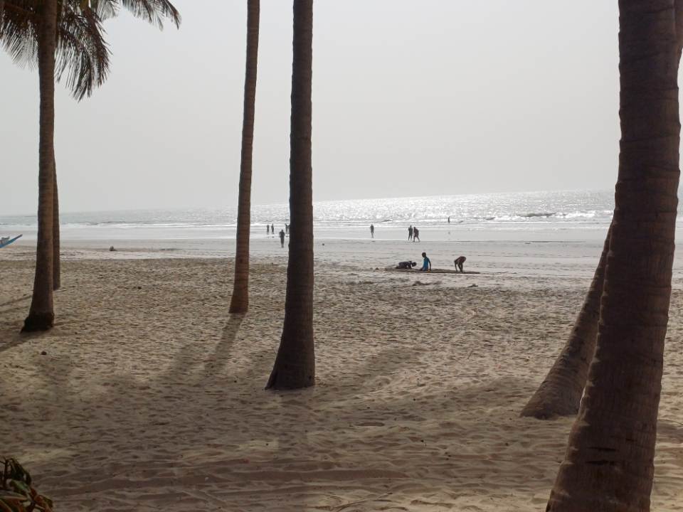 Beach with silhouettes of people
