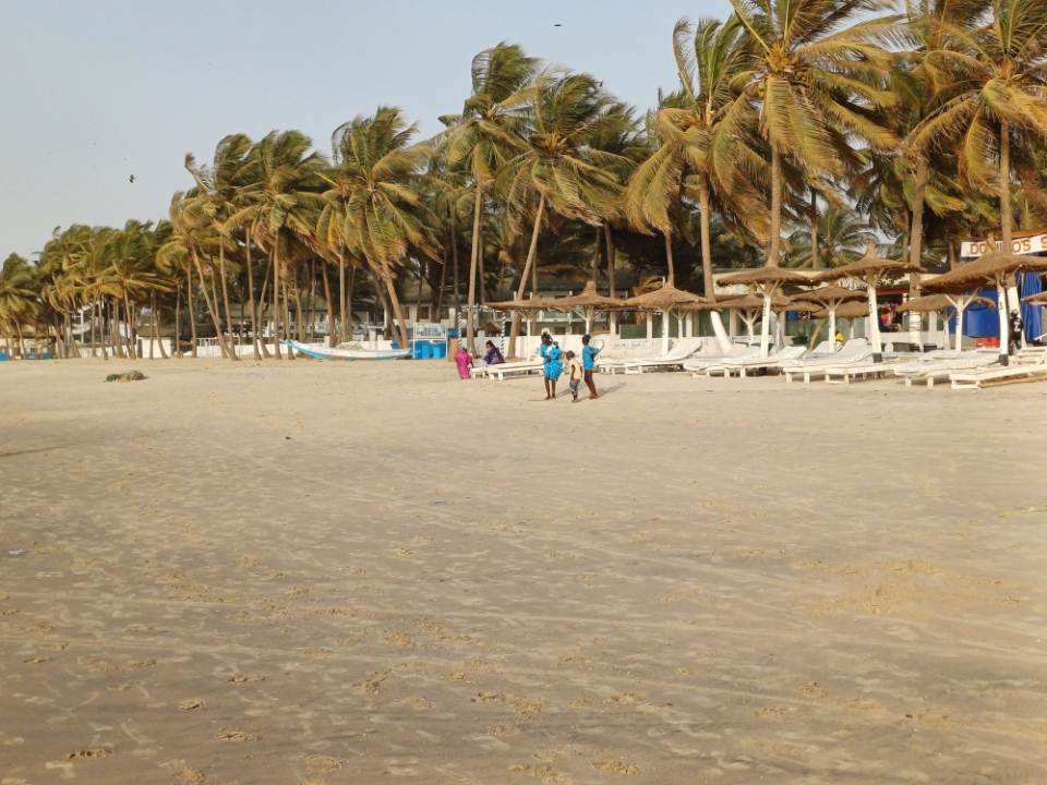 Beach with swaying palm trees
