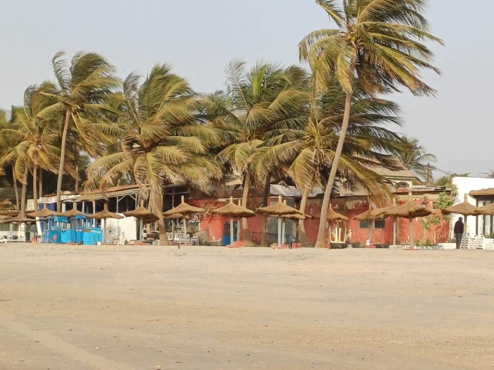 Beachside huts and palm trees