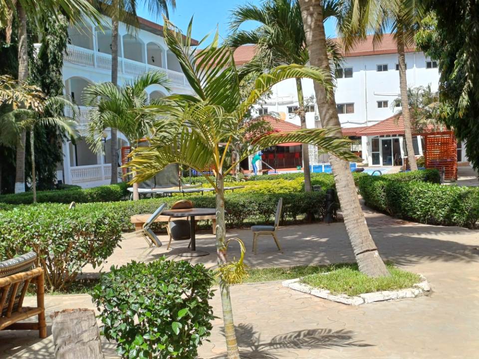 Tropical garden with palm trees