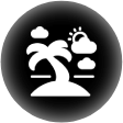 Palm tree on an island